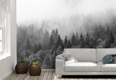 Fototapet alb-negru&#44; Ceață peste Pădure